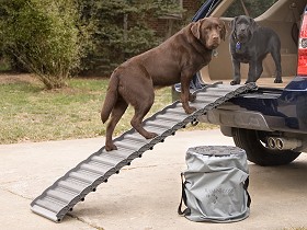 Ramp4Paws